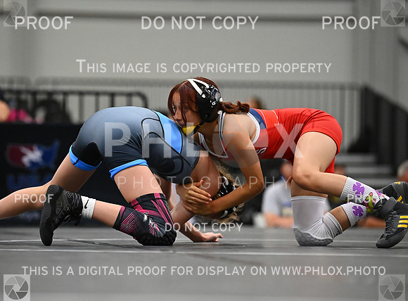 DLS_7498