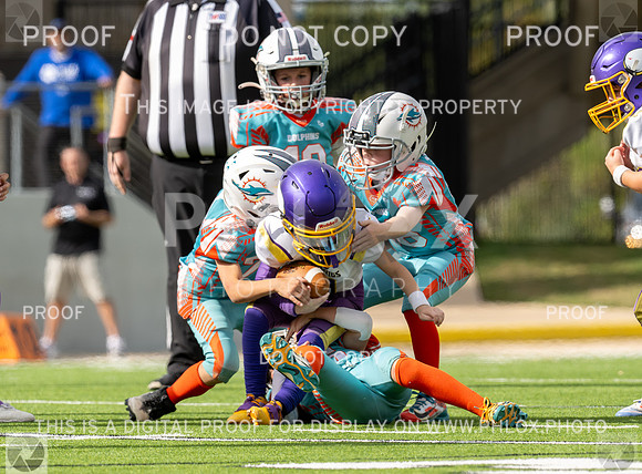 12pm Freshman -Vikings (V) vs Dolphins (H)-150