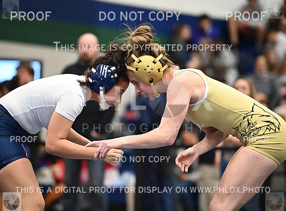 DLS_4424