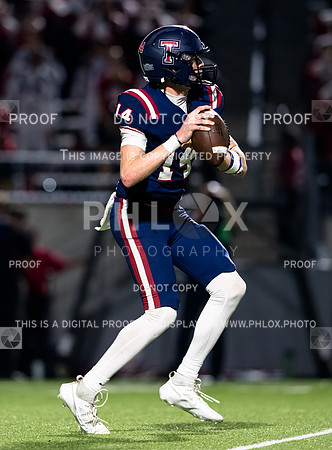 DLS_4147
