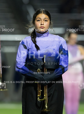 DLS_2567
