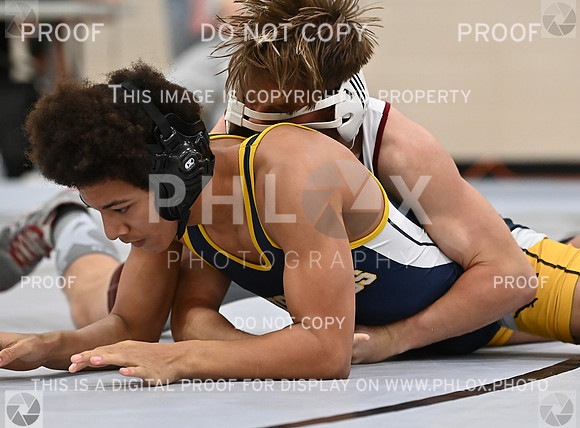 DLS_4230