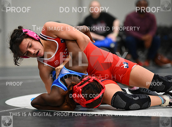 DLS_8553