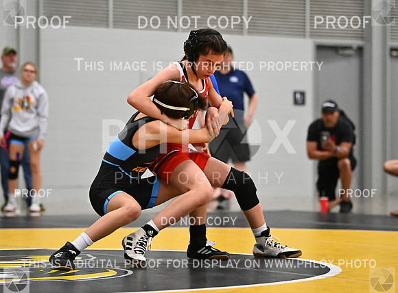 DLS_7735