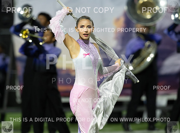 DLS_2601