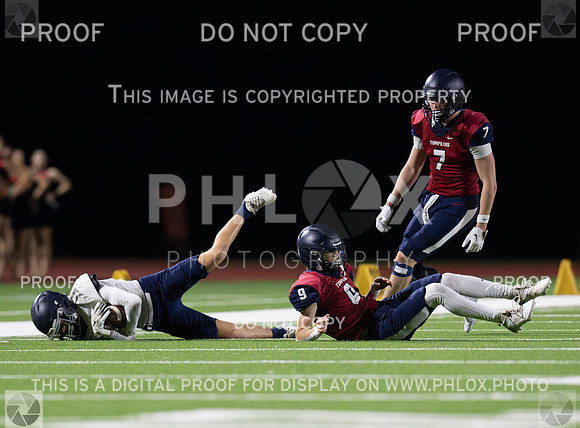 DLS_8977