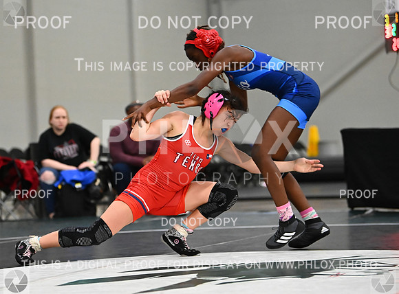 DLS_8506