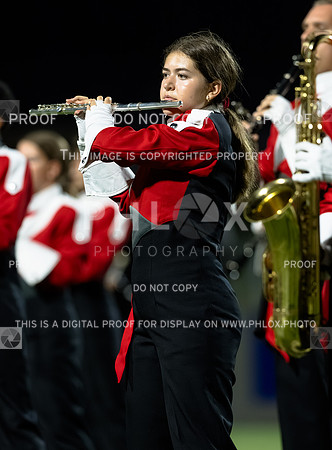 DLS_3787