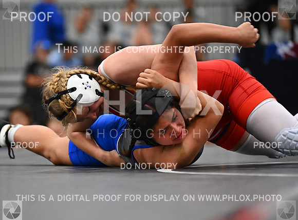 DLS_6712