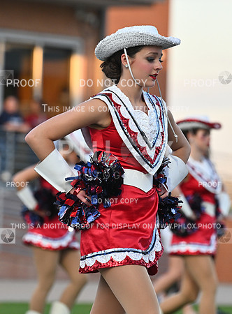 DLS_5868