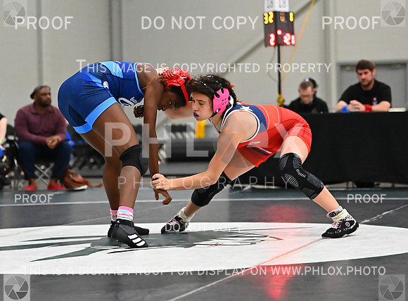 DLS_8504