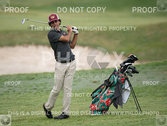 CAR_8892-Edit-Edit
