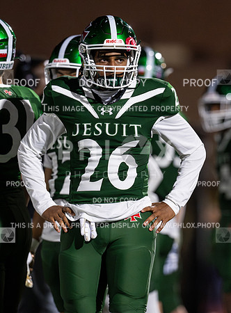DLS_0420