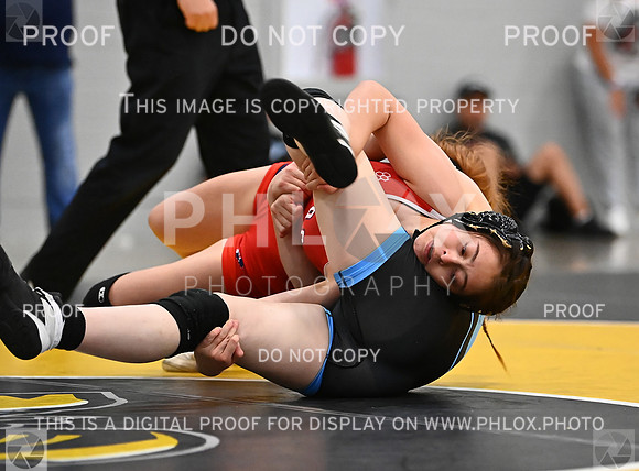 DLS_7916