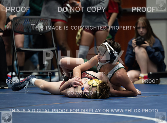 DLS_6273