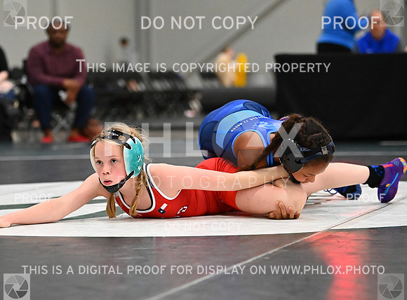 DLS_8453