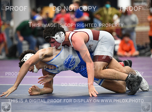 FDS_2481