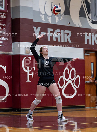 DLS_2014