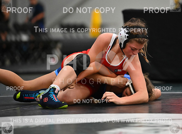 DLS_8693