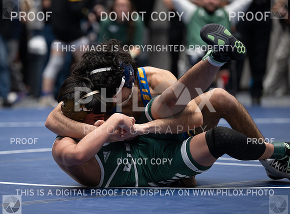 DLS_6720