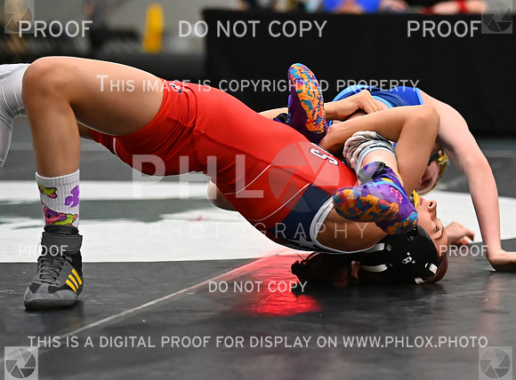 DLS_8432