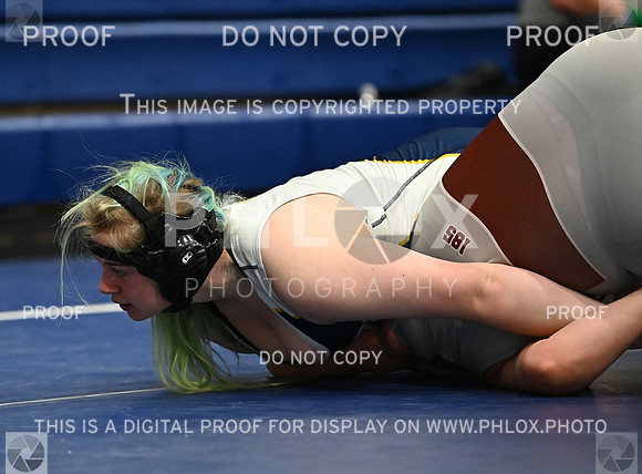 DLS_5132