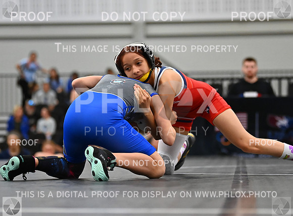 DLS_6784