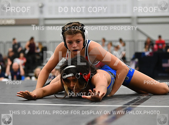 DLS_6677