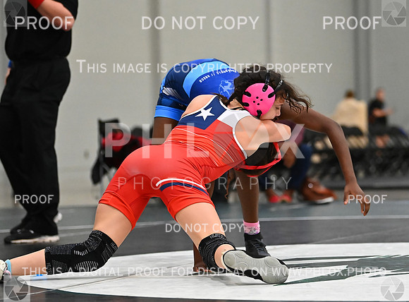 DLS_8536
