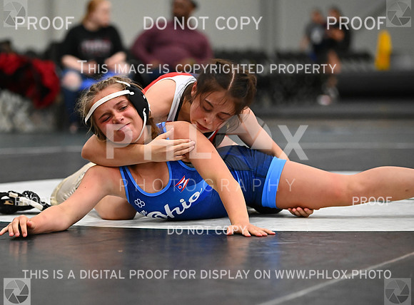 DLS_8628