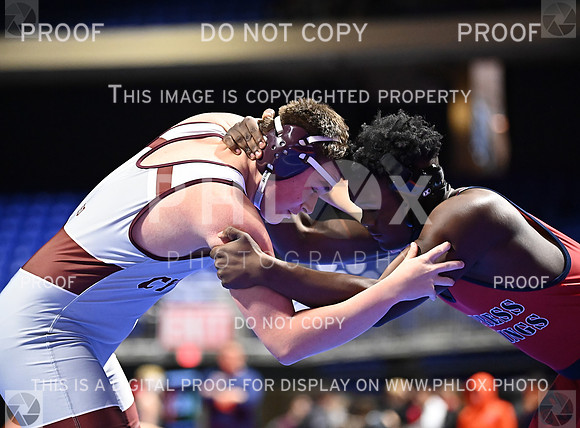 DLS_6685