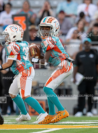 4pm Jv-Bears (V) vs Dolphins (H)-91