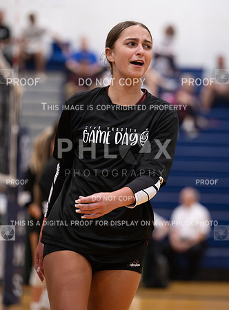 DLS_8839