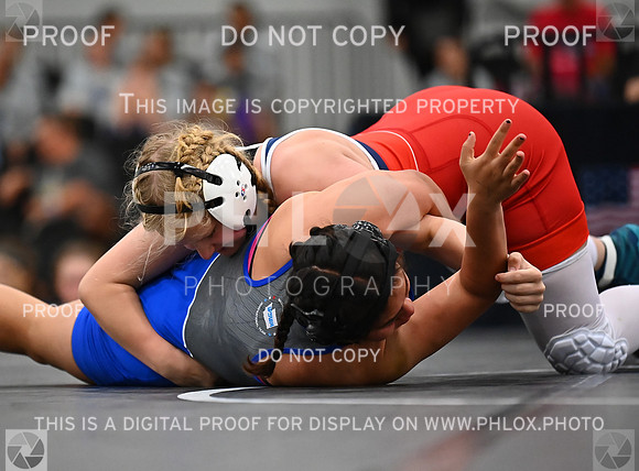 DLS_6710