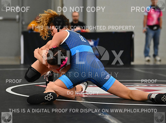 DLS_8985