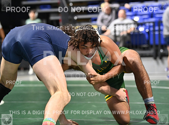 DLS_9920