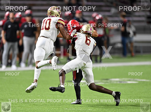 JO6_5589