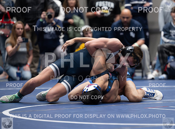 DLS_6718
