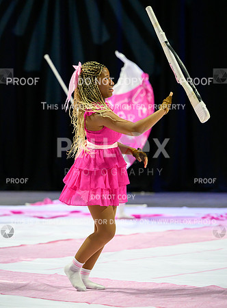 PSZ_201643-2