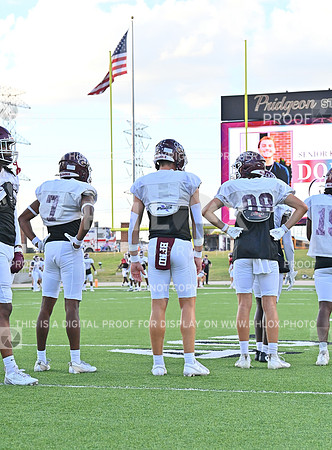 CLM_9238