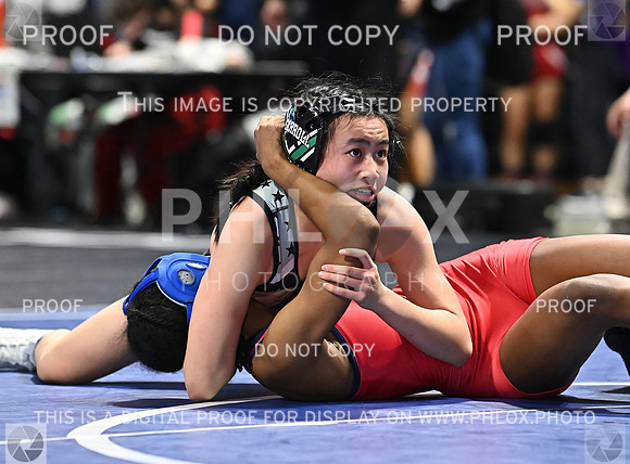 DLS_0209