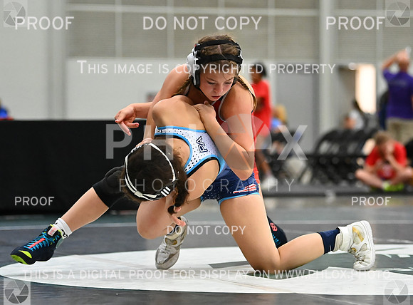 DLS_8205