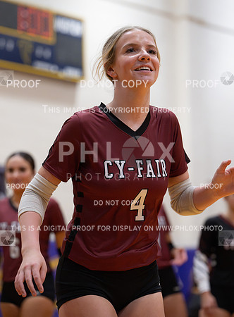 DLS_0630