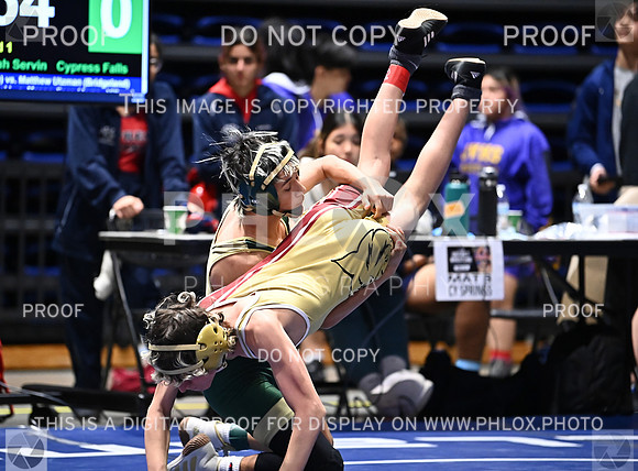 DLS_6592