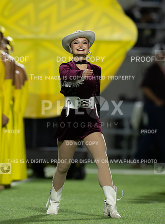 DLS_5136