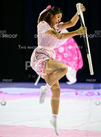 PSZ_201646