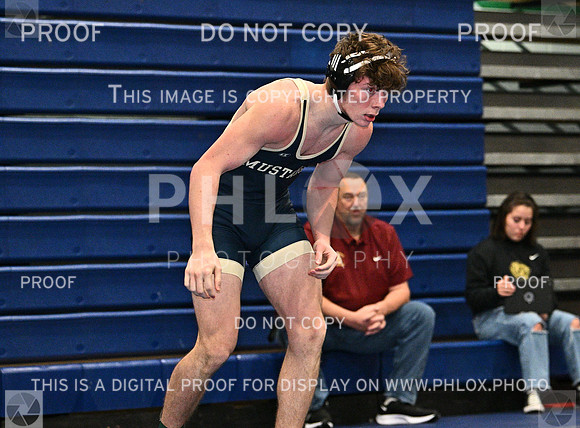 DLS_8084