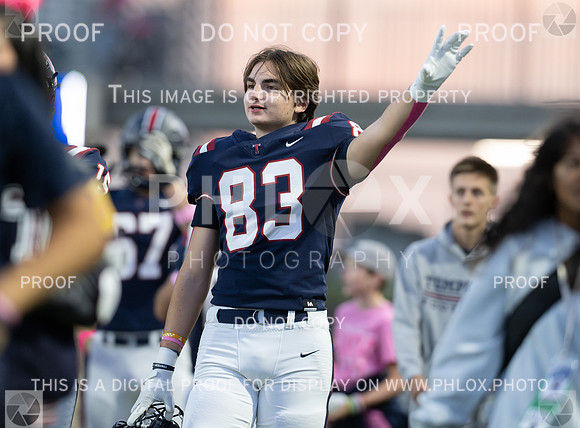 DLS_4347