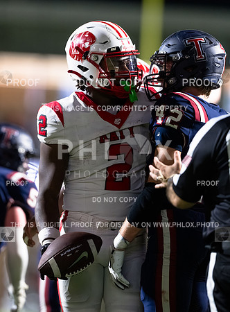 DLS_4219