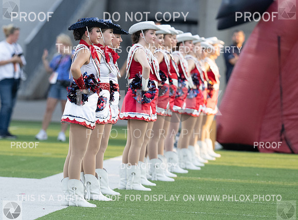 DLS_1678